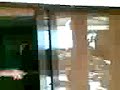 jose jugando a los dardos con piscolabis