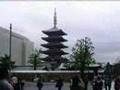 la japonaise
