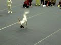 15th CMAT Wushu 2007
