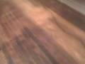 videos de APT VID 2