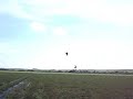Peregrino en picada ""zumbando""