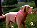 2006 Barbie And Her Dog Tanner HQ Commercial