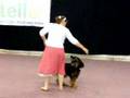 vitello dog's sport, dog dance 2007, 3