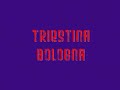 TRASFERTE 2006/07 SGP 1999 BOLOGNA ULTRAS TRASFERTE 2006/07 SGP 1999 BOLOGNA ULTRAS