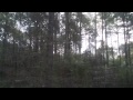 Click here to watch this video therealprg and juggaloman5 shoutouts
