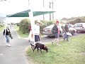 Carrying the gazebo