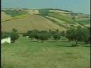 Ufologia a Montegranaro - Cerchi nel grano Ufologia a Montegranaro - Cerchi nel grano
