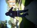 me killin the 40'z