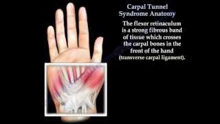 Carpal Tunnel Syndrome ,anatomy ,animation - Everything You Need To Know - Dr. Nabil Ebraheim