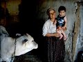 Ba�?ar Bebek Malatyada Dana Pe�?inde