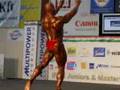 Hungarian-ELIT-Grand