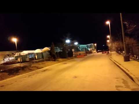 how to transplant mj