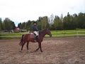 Vaahteram�en ratsutalli Timo Heinonen