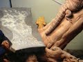 Beardie mating ritual pt 2