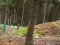 ZU LAHM IN WILLINGEN