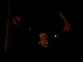 i will survive upside down