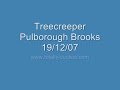 Treecreeper