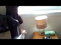 Siamese Kitten Vs Fly