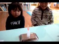 《우리집은 과학 창의력 놀이터》날아라~ 불사조!