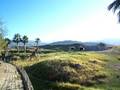 Ostriches and Giraffes at The Living Desert in Palm Desert
