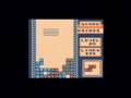 Game Boy Tetris - 999,999 points