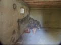 vecchio casale; completamente rifatta la parte strutturale, resta da completare l'interno. La casa è grande ed ha una comoda cantina. l'esposizione è sud-est, e la vista sulla vallata e sul Terminillo la rendono speciale. Il giardino gode del panorama.