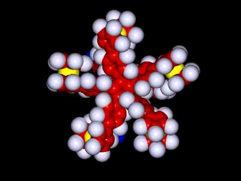 Rotational Molecular Motor Animation