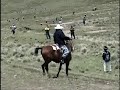 fernado: chiaraje - (canas espinar chumbivilcas) cusco