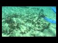 Race to preserve the world's oldest submerged town - Part 2