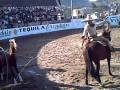 Charreria | Tequila, Jalisco