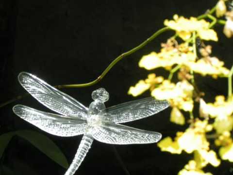 Video of Eliconial Paraty Pousada