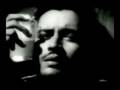  - MovieZen Video