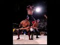 lucha libre