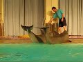 Loma matka Turku - Tampere - S�rk�nniemi