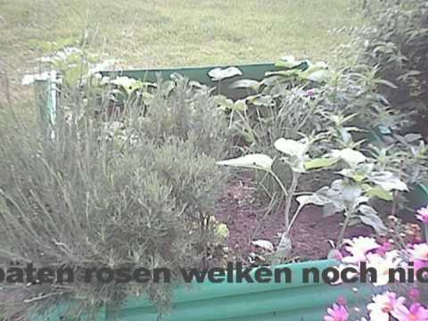 Komm in den todgesagten park