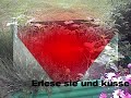Komm in den todgesagten park Komm in den todgesagten park
