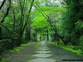 Ryuichi Sakamoto – Forbidden Colours (Original)