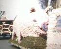 Beelden Bloemencorso Hillegom