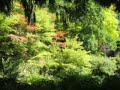 Awakening The Soul - Introduction