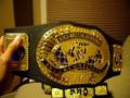 WWE Jakks Plastic Belts Update