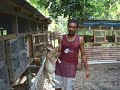 Rabbit Project, Rabbit Farming Demonstration to Peace Corps