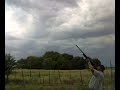 T�rtolas y palomas en La Pampa, Argentina-Wing shooting