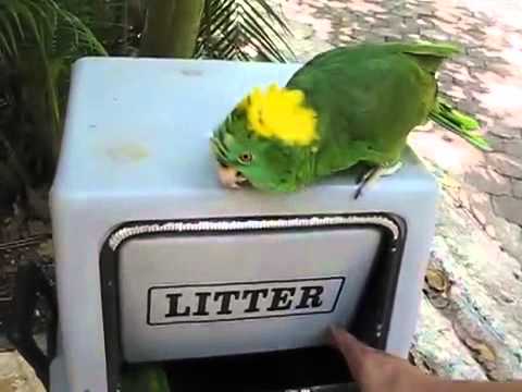 αστειο βιντεο