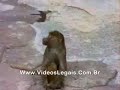 el feo