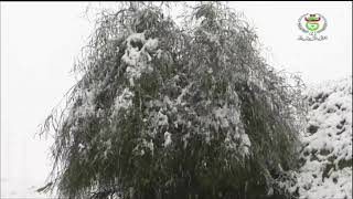 المدية - فصل الشتاء / المدية تتوشح البياض .. سحر الطبيعة يأسر الأعين.