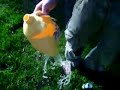 How to make the most powerful air soft gun ever How to make the most powerful air soft gun ever