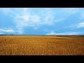 LongHorn Bliss Windows VIsta Dreams LongHorn Bliss Windows VIsta Dreams