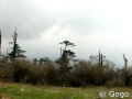 Singalila trekking 1 - YouTube