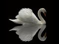 Air-J.S.Bach