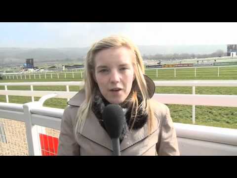 cheltenham tips